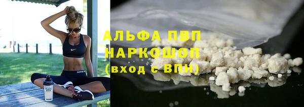 трава Гусиноозёрск