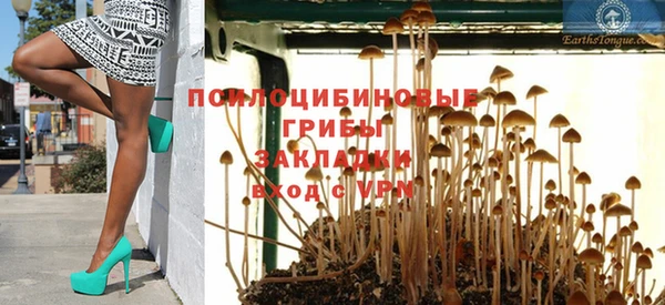 трава Гусиноозёрск