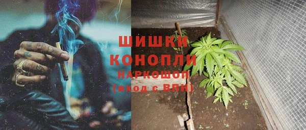 трава Гусиноозёрск