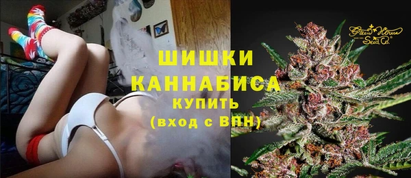 трава Гусиноозёрск