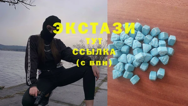 трава Гусиноозёрск
