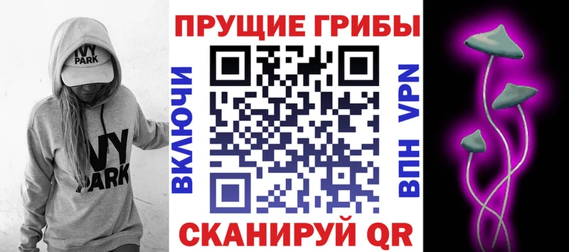Галлюциногенные грибы Magic Shrooms  Няндома 